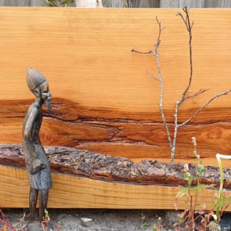 spalted, douglas, fir, hout, zeeland