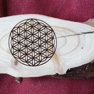 levensbloem, gelaserd, stam, schijfje