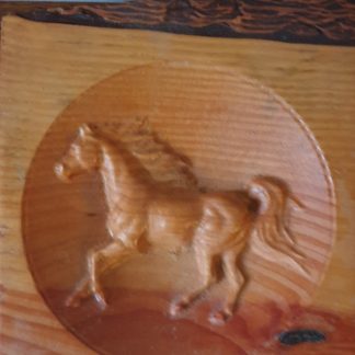 paard, gallop, douglas, hout